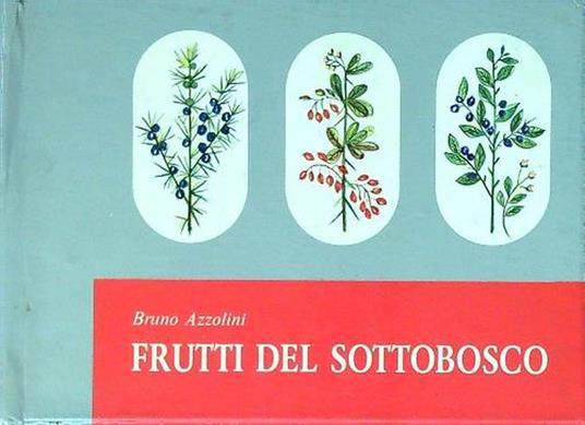 Frutti del sottobosco - Bruno Azzolini - copertina
