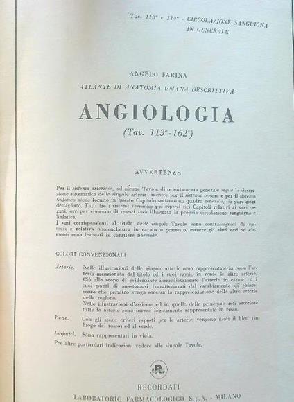 Atlante di anatomia umana descrittiva. Angiologia - Angelo Farina - copertina