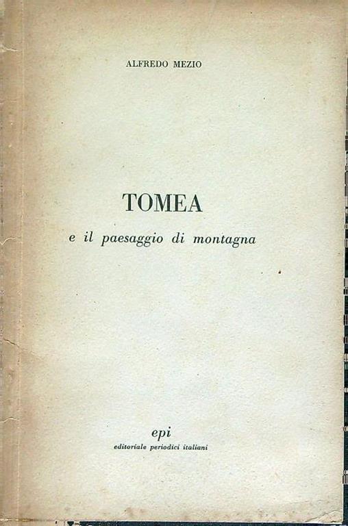 Tomea e il paesaggio di montagna - Alfredo Mezio - copertina