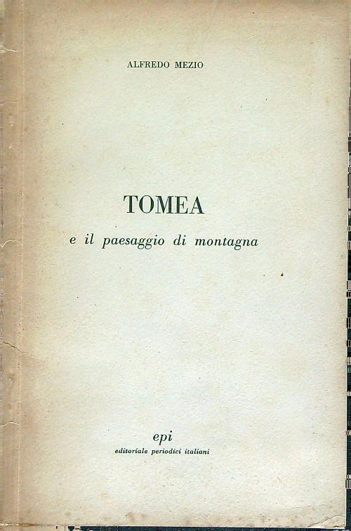 Tomea e il paesaggio di montagna