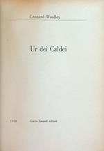 Ur dei caldei