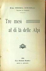 Tre mesi al di là delle Alpi