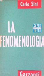 La fenomenologia