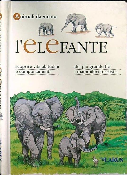 L' elefante - copertina