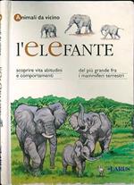 L' elefante