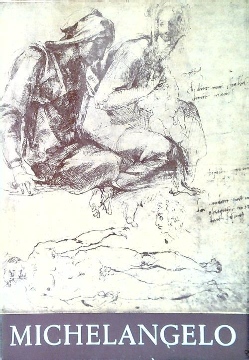 Michelangelo