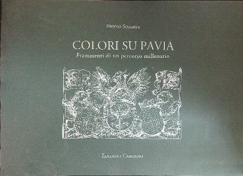 Colori su Pavia - Bruno Solerte - copertina