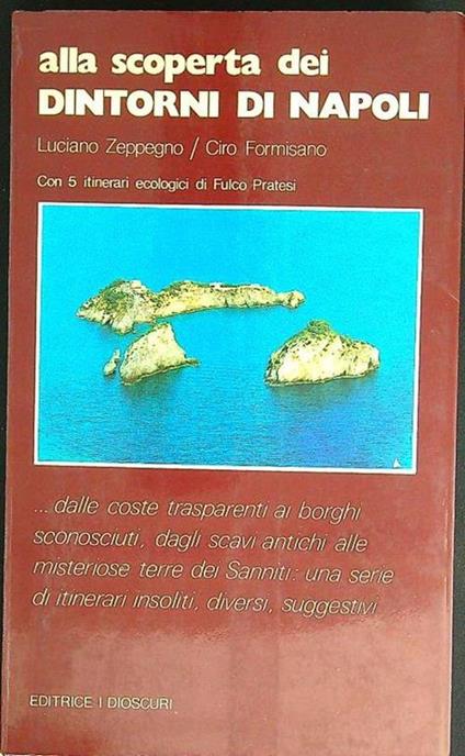 Alla scoperta dei dintorni di Napoli - Luciano Zeppegno - copertina