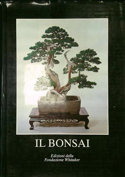 Il bonsai - copertina