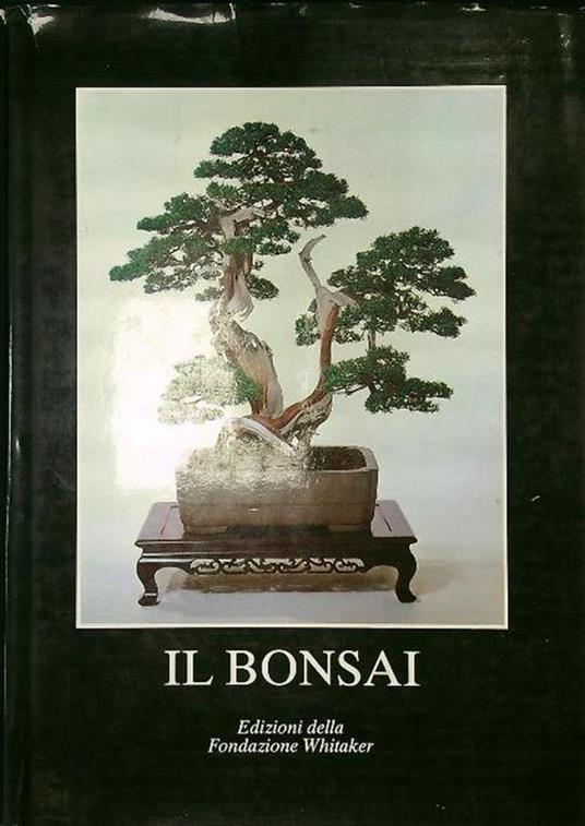 Il bonsai - copertina