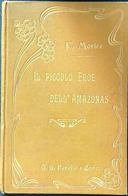 Il piccolo eroe dell'Amazonas - copertina