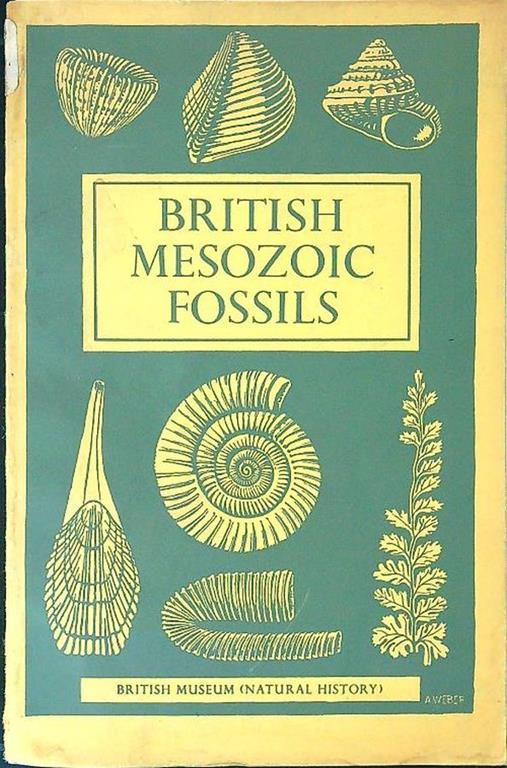 British Mesozoic Fossils - copertina