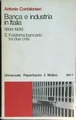 Banca e industria in Italia (1894 - 1906) vol. 2. Il sistema bancario tra due crisi