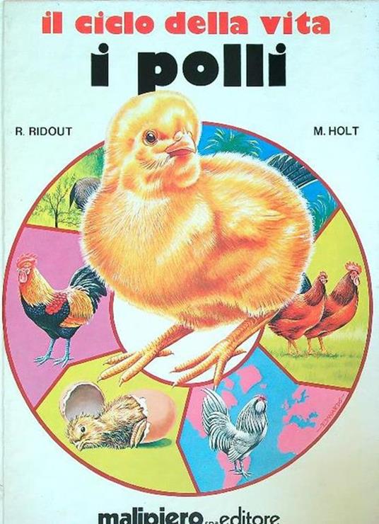 Il ciclo della vita. I polli - copertina