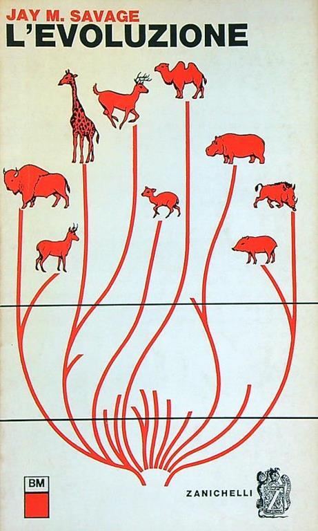 evoluzione - Jay M. Savage - copertina