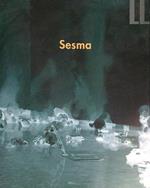 Raymundo Sesma