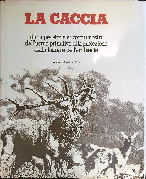 caccia - copertina