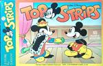 Topostrips 3