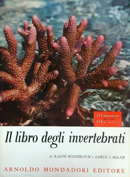 libro degli invertebrati - Ralph Buchsbaum - copertina