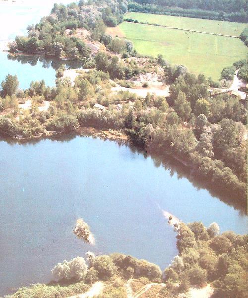 Il parco del ticino - copertina