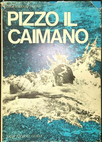 Pizzo il Caimano - Pier Lorenzo Stagno - copertina