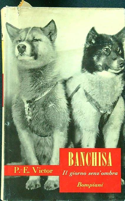 Banchisa - P.E. Victor - copertina