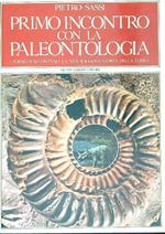 Primo incontro con la paleontologia