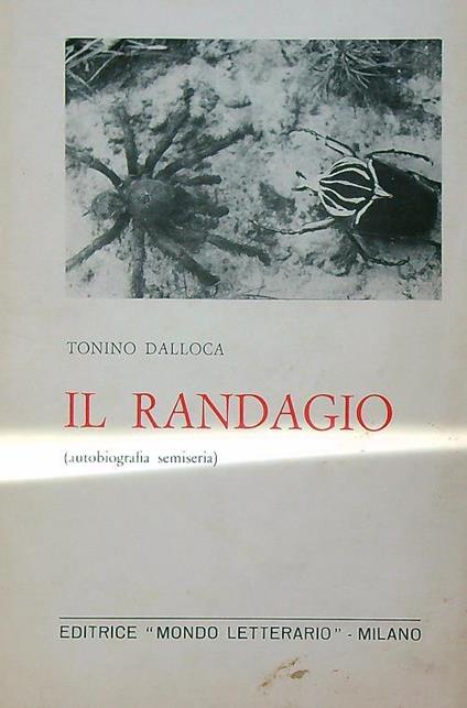 Il randagio - Tonino Dalloca - copertina