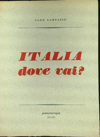Italia dove vai? - Aldo Camnasio - copertina