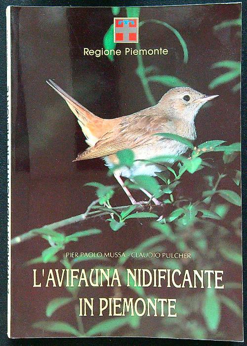 L'Odissea Libri e Arte