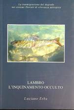 Lambro l'inquinamento occulto