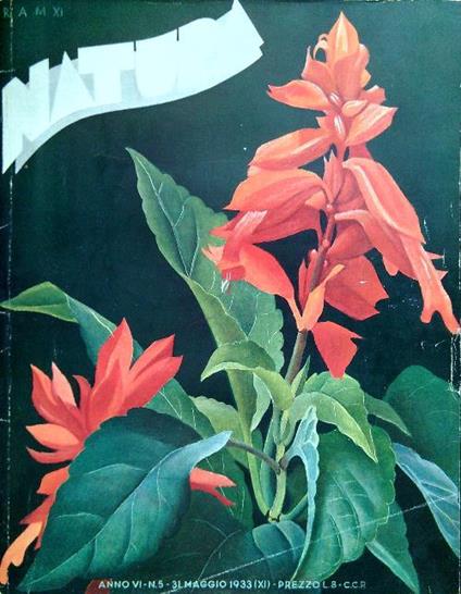 Natura 31 Maggio 1933-XI Anno VI - N. 5 - copertina
