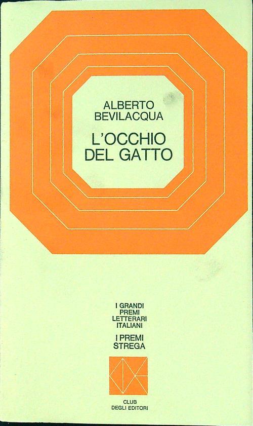 L' occhio del gatto
