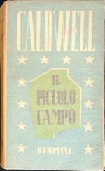 Il piccolo campo