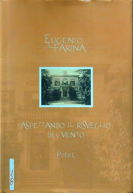 Aspettando il risveglio del vento - Eugenio Farina - copertina