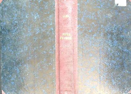 Patria ed amore - copertina