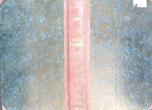 Patria ed amore - copertina