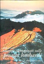 Racconti immaginati sulle prealpi lombarde