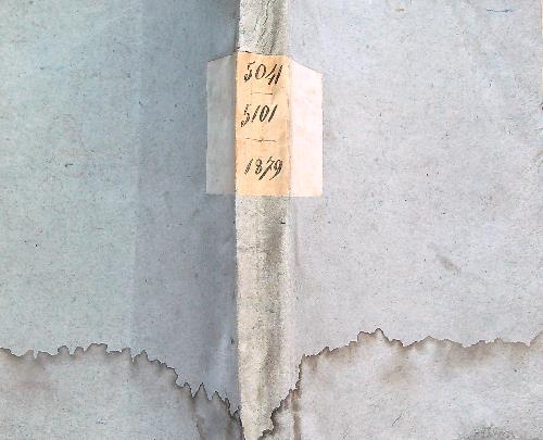 Leggi e decreti dal 5041 al 5101. Anno 1879