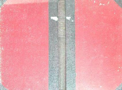 Il volo che valicò le Alpi - Luigi Barzini - copertina