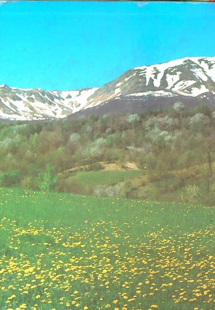 Alto Appennino reggiano. L'ambiente e l'uomo - copertina