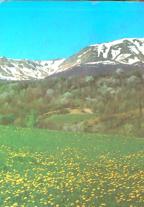 Alto Appennino reggiano. L'ambiente e l'uomo