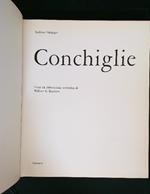 Conchiglie