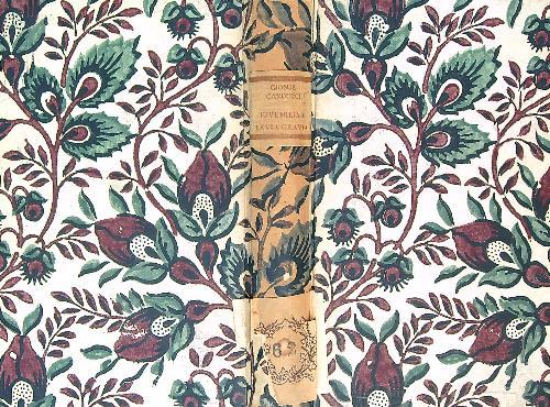 Juvenilia e levia gravia