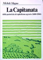 La Capitanata dalla pastorizia al capitalismo agrario (1400-1900)