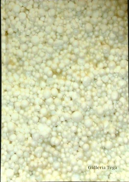 L' artista e la materia - Luciano Caprile - copertina