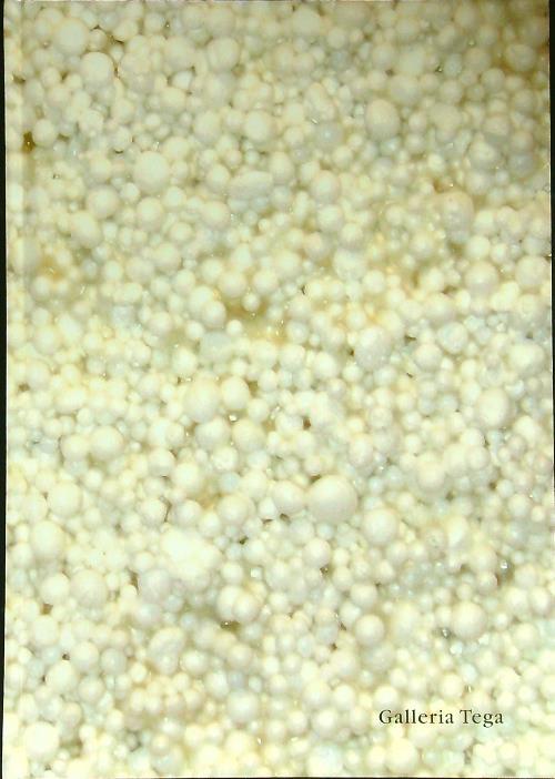 L' artista e la materia - Luciano Caprile - copertina