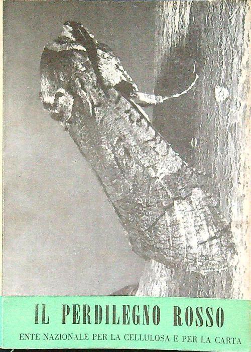 Il perdilegno rosso - copertina