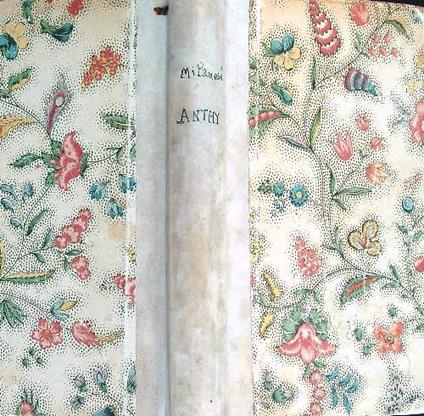 Anthy - Guido Milanesi - copertina