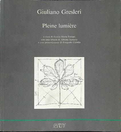 Pleine lumière - Giuliano Gresleri - copertina